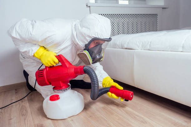 Best Flea Control Services  in Prosper, TX