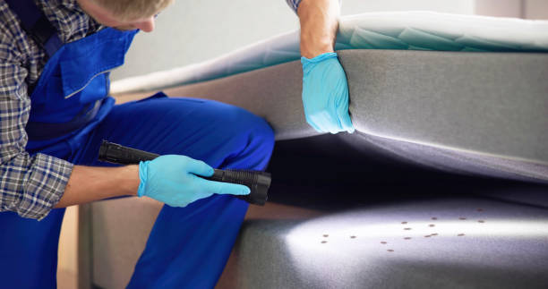 Best Best Pest Control Companies  in Prosper, TX