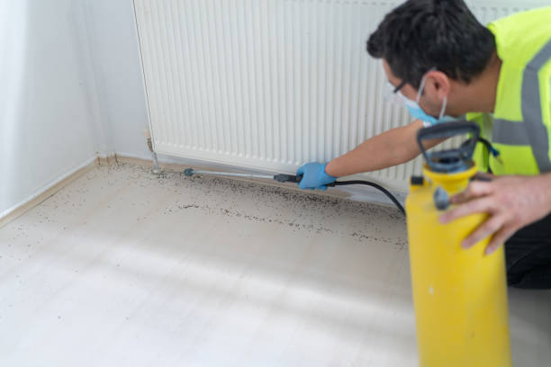 Pest Control Cost in Prosper, TX